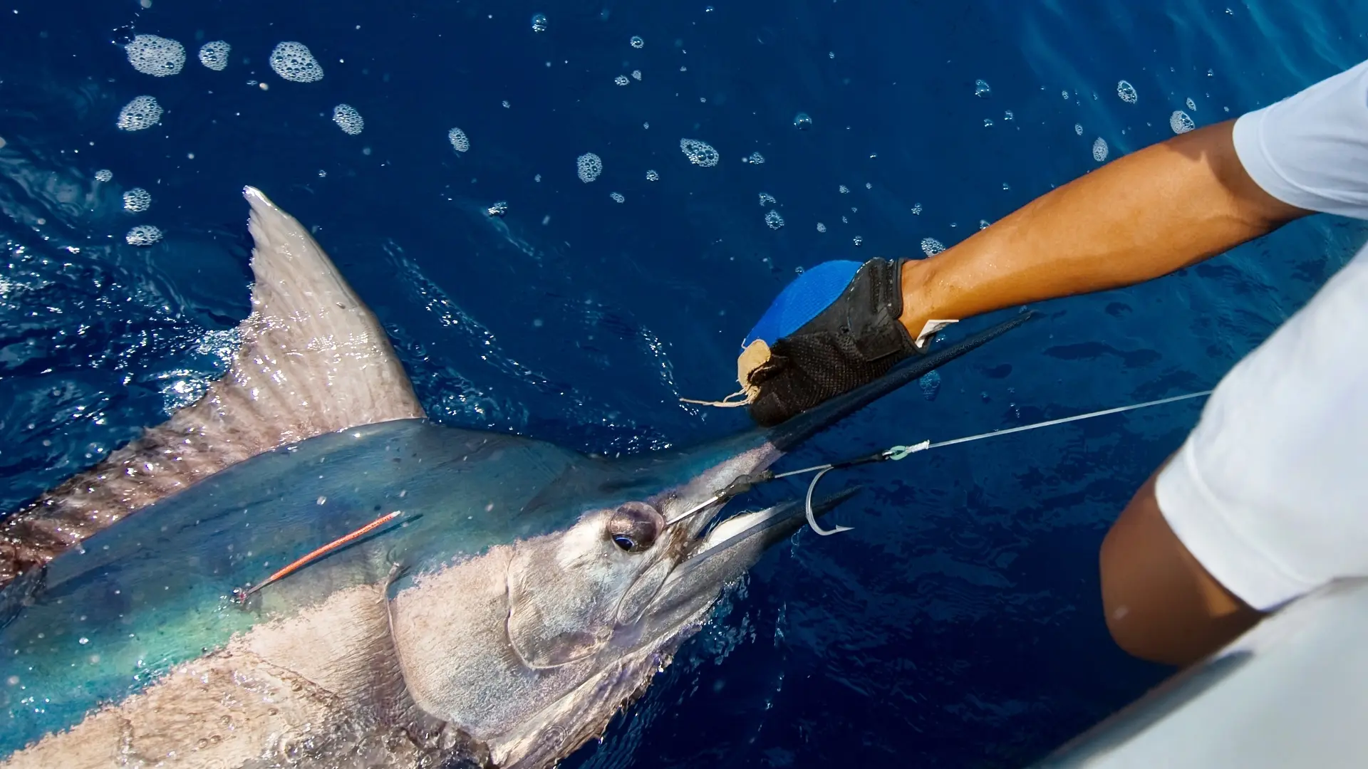 Deep sea fishing off Pico Island